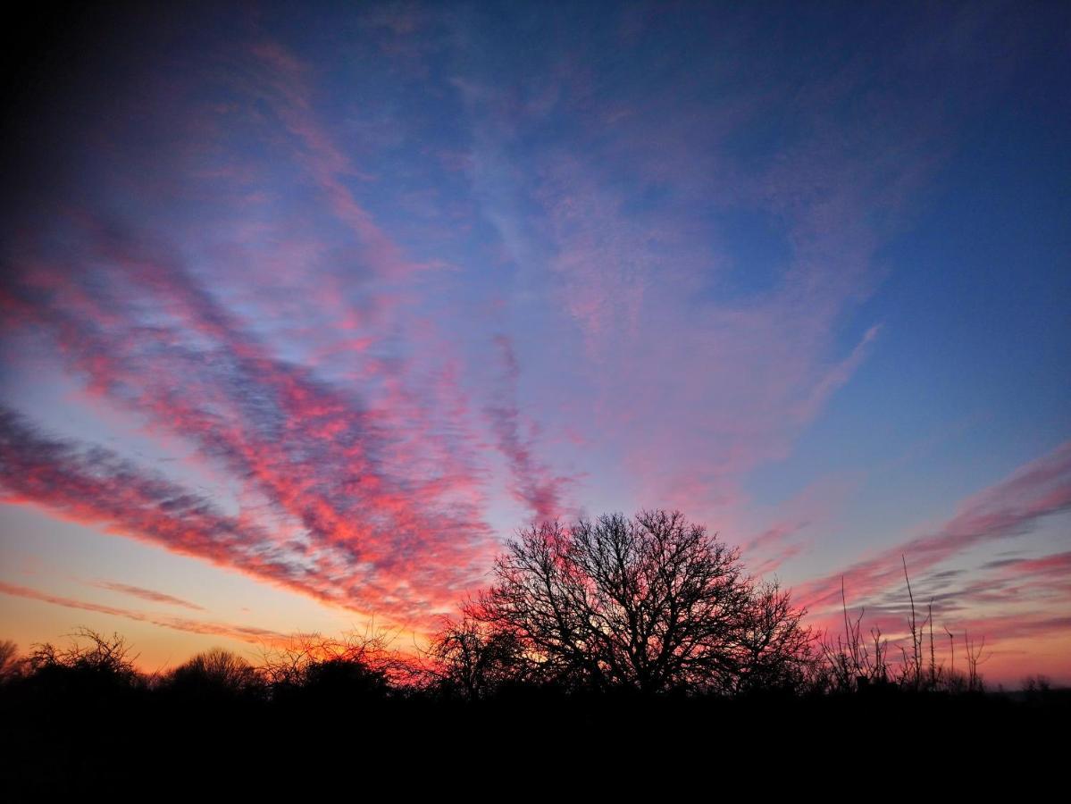La Mare Aux 3 Diables Bed & Breakfast Fresney-le-Vieux Bagian luar foto